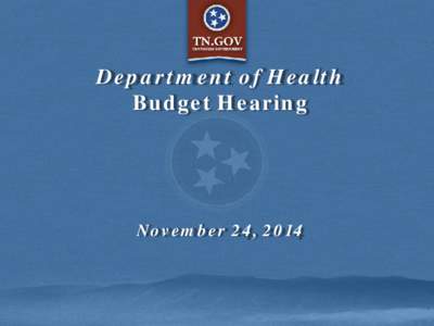 Department of Health Budget Hearing November 24, 2014  Customer-Focused Government Goals