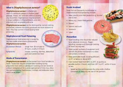 What is Staphylococcus aureus ?  Foods Involved Staphylococcus aureus is a bacterium