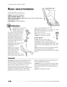 A Guide to Weeds in British Columbia  RUSH DISTRIBUTION