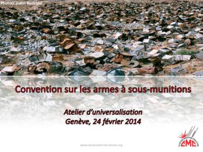 Photo(C)John Rodsted  www.stopclustermunitions.org Les armes à sous-munitions