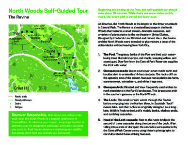 Central Park Conservancy / New York / Cascade Range / Frederick Law Olmsted / Calvert Vaux / Central Park / Physical geography / New York City