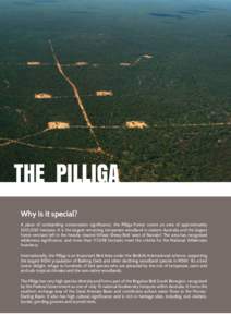 THE Pilliga Why is it special? A place of outstanding conservation significance, the Pilliga Forest covers an area of approximately 500,000 hectares. It is the largest remaining temperate woodland in eastern Australia an