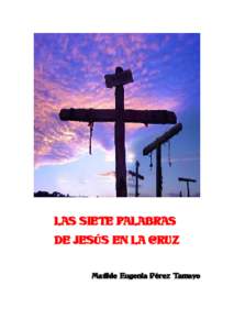 LAS SIETE PALABRAS DE JESÚS EN LA CRUZ Matilde Eugenia Pérez Tamayo INTRODUCCIÓN Jesús ha sido crucificado.