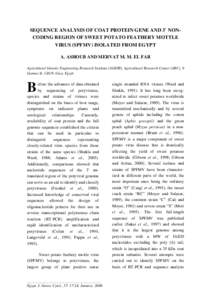 Polymerase chain reaction / Laboratory techniques / Potyviridae / Genetics / Reverse transcription polymerase chain reaction / Reverse transcriptase / Potyvirus / Primer / Virus / Biology / Molecular biology / Biochemistry