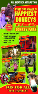 Gunnislake / Donkey / The Donkey Sanctuary