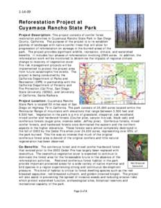 Systems ecology / Forestry / Conservation / California state parks / Trees / Reforestation / Cuyamaca Rancho State Park / Cuyamaca /  California / Carbon offset / Kumeyaay / Environment / Ecology