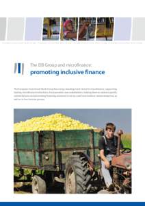 European Investment Bank Group • European Investment Bank Group • European Investment Bank Group • European Investment Bank Group  The EIB Group and microfinance: promoting inclusive finance The European Investment