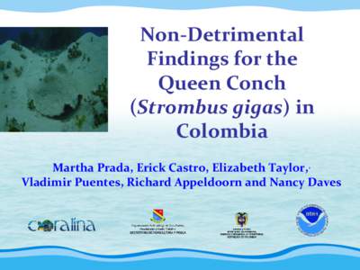 Non-Detrimental Findings for the Queen Conch (Strombus gigas) in Colombia Martha Prada, Erick Castro, Elizabeth Taylor,,