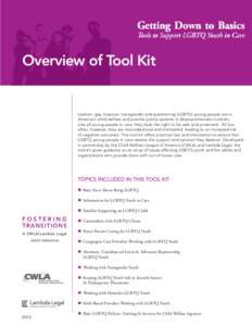 Getting Down to Basics Tools to Support LGBTQ Youth in Care Overview of Tool Kit  Lesbian, gay, bisexual, transgender and questioning (LGBTQ) young people are in