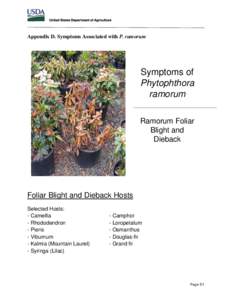 Appendix D. Symptoms Associated with P. ramorum  Symptoms of Phytophthora ramorum Ramorum Foliar