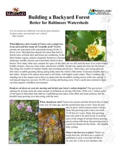 Building a Backyard Forest Better for Baltimore Watersheds Acts of creation are ordinarily reserved for gods and poets. To plant a pine, one need only own a shovel. - Aldo Leopold