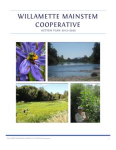 WILLAMETTE MAINSTEM COOPERATIVE A CT IO N P L A N – 20 20 WILLAMETTE MAINSTEM COOPERATIVE ACTION PLAN 2015–2020