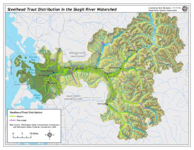 Steelhead Trout Distribution in the Skagit River Watershed  L ak e  created by Kate Ramsden, 