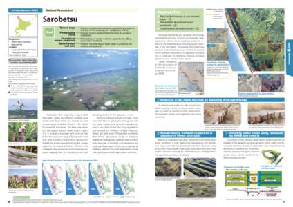 Wetlands / Environmental engineering / Water pollution / Aquatic ecology / Peat / Bog / Retention basin / Physical geography / Water / Earth