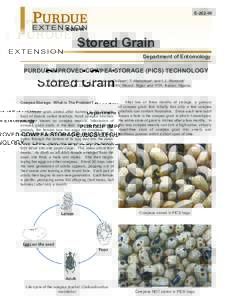 E-262-W  Stored Grain Department of Entomology  PURDUE IMPROVED COWPEA STORAGE (PICS) TECHNOLOGY