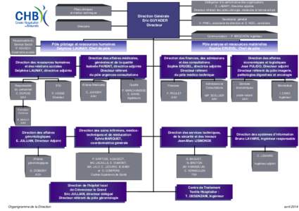 Délégation à la performance des organisations S. LABART, Directrice adjointe Directeur référent des pôles chirurgie, médecine et femme-enfant Pôles cliniques et médico-techniques