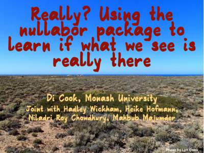 Really? Using the nullabor package to learn if what we see is really there Di Cook, Monash University