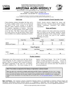 Alfalfa / Medicago / Pollination management / Vegetables / Bullhead City /  Arizona / Phoenix /  Arizona / Grand Canyon / Geography of Arizona / Geography of the United States / Arizona