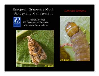 European Grapevine Moth Biology and Management Lobesia botrana  Monica L. Cooper