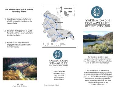 The Yakima Basin Fish & Wildlife Recovery Board: Bull Trout Photo Credit: W. Meyer