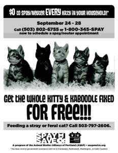 $0 to spay/neuter EVERY kitty in your household!* SeptemberCallorSPAY Photo by Four-Legged Photo