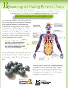 Bariatrics / Body shape / Nutrition / Obesity / Anthocyanin / Blueberry / Endocrine system / The New American Diet / Endocrine disruptor / Medicine / Health / Flora of the United States