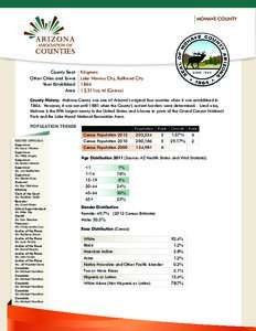 MOHAVE COUNTY County Seat	 	Other Cities and Towns