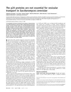 The p24 proteins are not essential for vesicular transport in Saccharomyces cerevisiae Sebastian Springer*, Eric Chen*, Rainer Duden†, Martina Marzioch‡, Adele Rowley‡, Susan Hamamoto*,