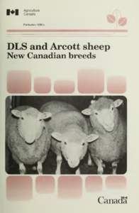 DLS and Arcott sheep : new Canadian breeds