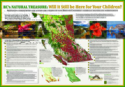 BC’s Natural Treasure: Will it Still be Here for Your Children? Immediate commitment and action are needed to save British Columbia’s globally significant biodiversity The one process now going on that will take mill
