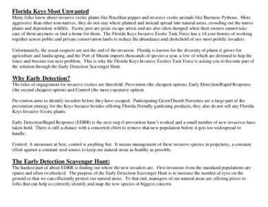 Florida Keys Most Unwanted Many folks know about invasive exotic plants like Brazilian pepper and invasive exotic animals like Burmese Pythons. More aggressive than other non-natives, they do not stay where planted and i