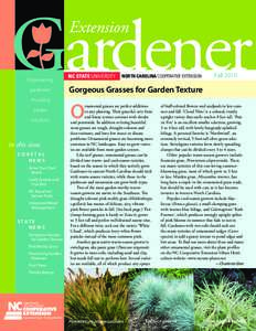 Gardener Extension Empowering gardeners. Providing