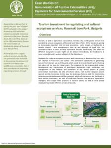 Case studies on Remuneration of Positive Externalities (RPE)/ Payments for Environmental Services (PES) www.fao.org  Prepared for the Multi-stakeholder dialogue[removed]September 2013 FAO, Rome