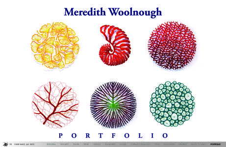Meredith Woolnough  P 92  X-RAY MAG : 64 : 2015