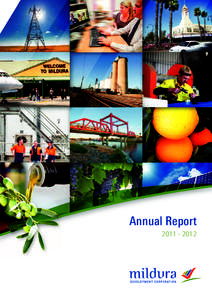 Annual Report Contents Chairman’s Report