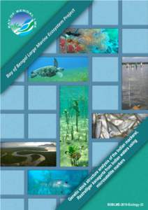 Scombridae / Genetics / Scomber / Rastrelliger / Indian mackerel / Molecular biology / Mackerel / Microsatellite / Chub mackerel / Genetic marker / Stock assessment / Blue mackerel