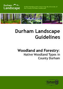 Understanding and conserving the diversity of the County Durham Landscape Durham Landscape Guidelines Woodland and Forestry: