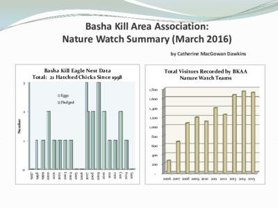 Basha Kill Area Association: Nature Watch Summary (Marchby Catherine MacGowan Dawkins Basha Kill Eagle Nest Data Total: 21 Hatched Chicks Since 1998