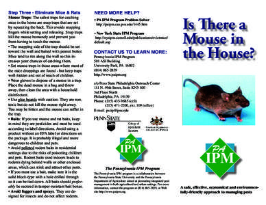 Step Three - Eliminate Mice & Rats  Mouse Traps: The safest traps for catching mice in the home are snap traps that are set by squeezing the back. This avoids snapping fingers while setting and releasing. Snap traps