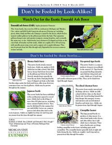 Protostome / Cerambycidae / Zoology / Emerald ash borer / Asian long-horned beetle / Bronze birch borer / Japanese beetle / Monochamus / Beetle / Woodboring beetles / Buprestidae / Phyla