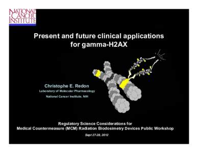 Present and future clinical applications for gamma-H2AX Christophe E. Redon Laboratory of Molecular Pharmacology National Cancer Institute, NIH