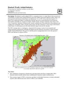 Special Initiative Brief Format [Title 16pt Times New Roman]