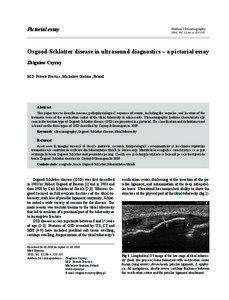 Pictorial essay  Medical Ultrasonography