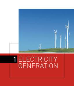 1	electricity generation Mark Wilson  The supply of electricity begins with generation in power stations. This chapter provides