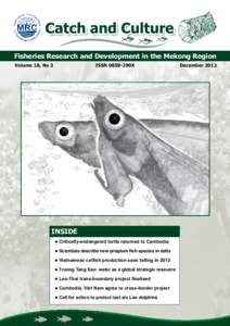 Fisheries Research and Development in the Mekong Region Volume 18, No 3 ISSN 0859-290X  INSIDE