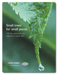 Small trees for small places 100 tree species for use