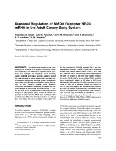 NMDA receptor antagonists / Neurology / Limbic system / NMDA receptor / Ifenprodil / Long-term potentiation / GRIN2B / Song control system / Photoperiodism / Biology / Ion channels / Neurophysiology