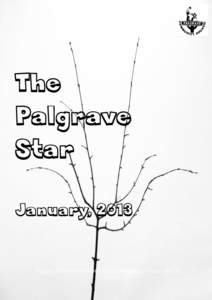 The Palgrave Star January, 2013  Palgrave &District Community Council Registered Charity[removed]