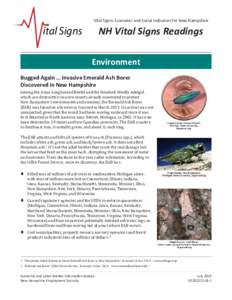 Woodboring beetles / Emerald ash borer / Fraxinus americana / Fraxinus / New Hampshire / Ash Borer / Wood fuel / Tetrastichus planipennisi / Oobius agrili / Flora of the United States / Medicinal plants / Buprestidae