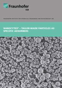 F r a u n h o fe r I n s t i t u t e f o r I n t e r f a c i a l E nginee r ing a n d B i o t e c h n o l o g y I G B  NANOCYTES® – TAILOR-MADE PARTICLES AS SPECIFIC ADSORBERS  1
